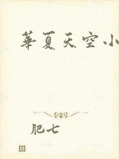 华夏天空小说网