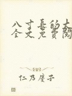 八寸长的大宝贝全文免费阅读
