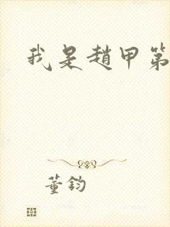 我是赵甲第小说