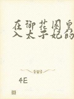 在御花园皇上进入太子妃的小说