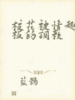 校花被情趣店老板的调教