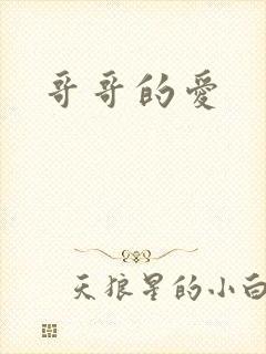 哥哥的爱