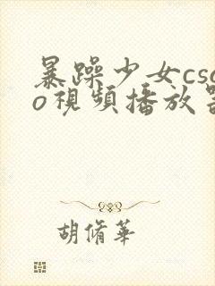 暴躁少女csgo视频播放器推荐