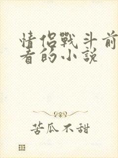 情侣战斗前适合看的小说