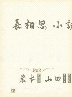 长相思 小说