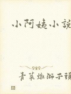 小阿姨小说