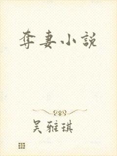 夺妻小说