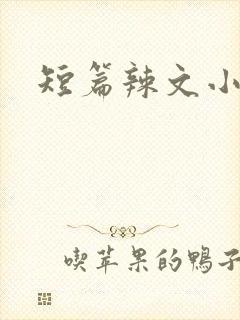 短篇辣文小说