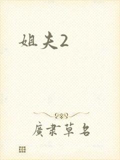 姐夫2