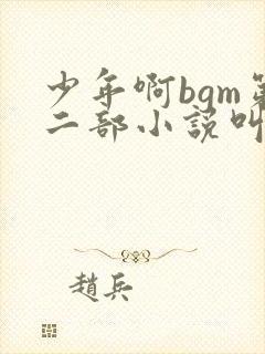 少年啊bgm第二部小说叫什么