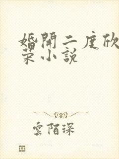 婚开二度欣欣向荣小说