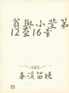 翁与小莹第十部12至16章