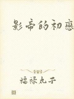 影帝的初恋