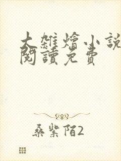 大杂烩小说全集阅读免费