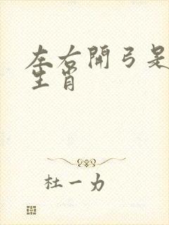 左右开弓是什么生肖