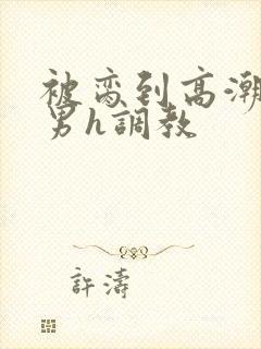 被脔到高潮的直男h调教