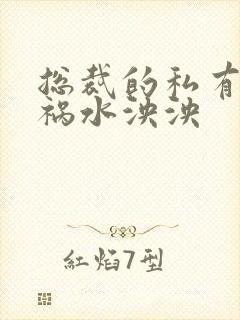 总裁的私有宝贝祸水泱泱