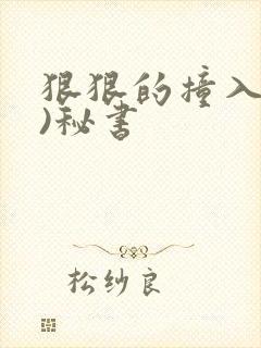 狠狠的撞入(h)秘书