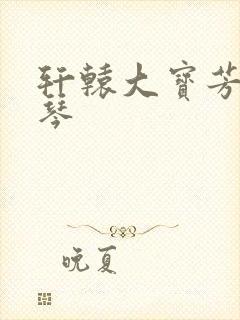 轩辕大宝芳菲雅琴