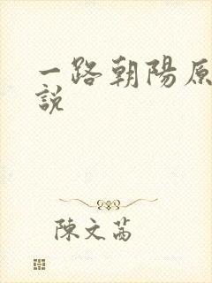 一路朝阳原著小说