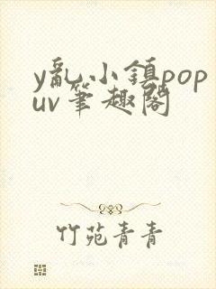 y乱小镇popuv笔趣阁