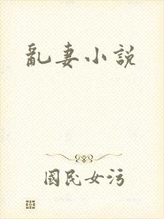 乱妻小说