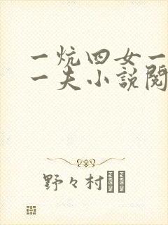 一炕四女一共侍一夫小说阅读