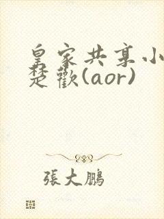 皇家共享小公主楚欢(aor)