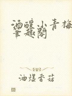 酒酿小青梅po笔趣阁