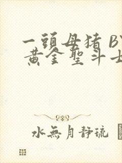 一头母猪 BY 黄金圣斗士