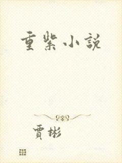 重紫小说