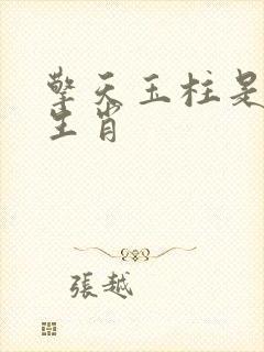 擎天玉柱是什么生肖