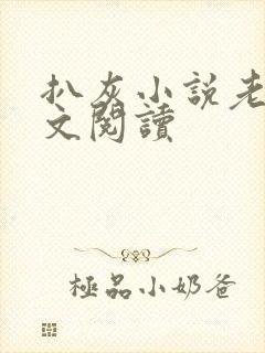 扒灰小说老马全文阅读