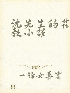 沈先生的花式调教小说