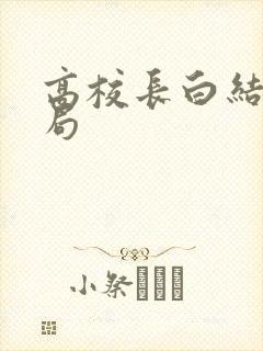 高校长白结大结局