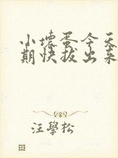 小坏蛋今天危险期快拔出来