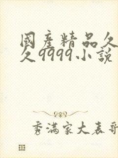 国产精品久久久久9999小说