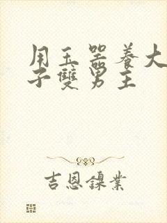 用玉器养大的皇子双男主