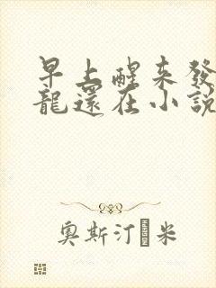 早上醒来发现巨龙还在小说