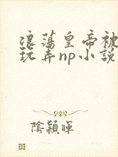 浪荡皇帝被多人玩弄np小说