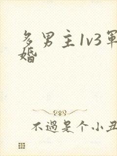 多男主1v3军婚