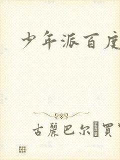 少年派百度百科