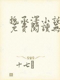 魏承泽小说全文免费阅读无弹窗笔趣