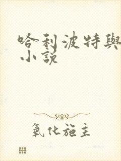 哈利波特与密室小说