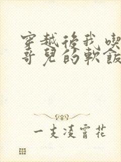 穿越后我吃到了哥儿的软饭炉山灰