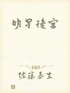 明星后宫