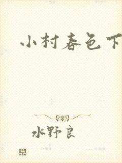 小村春色下载