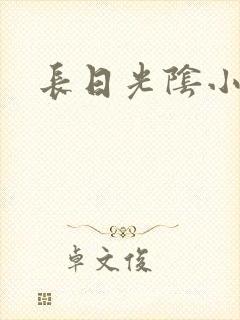 长日光阴小说