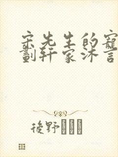 宋先生的宠妻计划轩家沐言