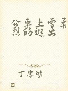 公车上雪柔被猛烈的进出